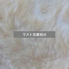 在庫処分ラスト（ストラップ付き）