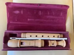 2025年最新】メック リコーダーの人気アイテム - メルカリ