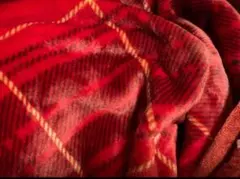 毛布 薄手 チェック 赤