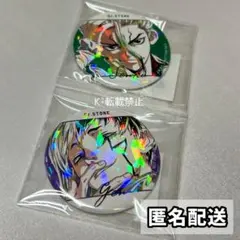 Dr.STONE Ani-Art box特典 ホログラム缶バッジ 千空 ゲン ホログラム缶バッジ(65mm)「Dr.STONE」02/石神千空(場面写イラスト