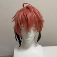 にじさんじ 赤城ウェン コスプレウィッグ - メルカリ