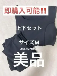 【値下げ◎】Rintosull パーフェクトフォーム M 上下 Rintosull パーフェクトフォームトップスブラックM LAVA ピラティス