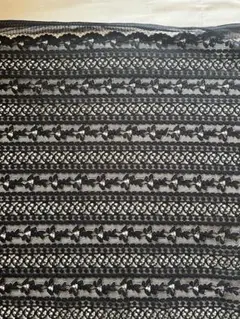 黒のレース生地 ストライプ模様