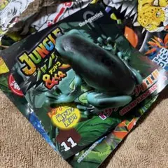 Item thumbnail for item ab19b6ab-2dc4-4410-a3f2-f2b1a9fd7271