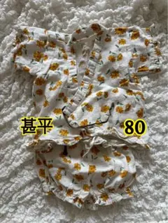 Item thumbnail for item 09ddbd5b-c0c4-410b-aa3e-e018e50951df