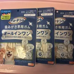 チューデント　歯磨き専用ガム　S〜Mサイズ３袋のサムネイル