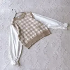 チップクリップ L ドッキング ニット ブラウス ギンガムチェック ベージュ 秋のサムネイル