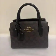 美品COACH コーチ アンドレア キャリーオール ショルダー