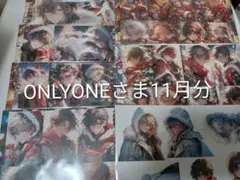 確認用☆ONLYONEさま11月分
