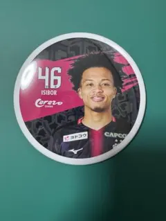 Item thumbnail for item cd45ea6f-333b-40a8-a4ac-a52b2f353d4a