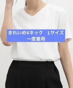 ハニーズ　きれいめVネック　Tシャツ　オフホワイト　Lサイズ　ハニさら