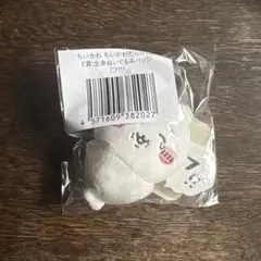 ちいかわ ちいかわだらけくじ E賞 フ!!