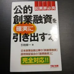 公的創業融資を確実に引き出す本