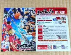 劇場版ハイキュー　フルカラー　チラシ