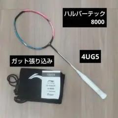 新品未使用 リーニン バドミントンラケット ブレードX880 志田千陽選手