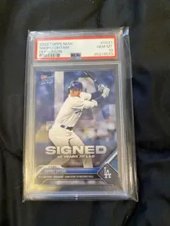 Item thumbnail for item 5e7e39d2-3b45-46ae-a6a7-767d6d2dbeb3