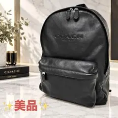 美品 COACH コーチ リュック チャールズ 大容量 ブラックオールレザー 黒