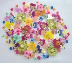 Item thumbnail for item ec15c595-b756-41ad-bd16-e082d6e95954