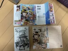 ワンピース113 裁断済