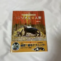 羊毛フェルトで作るもっと!リアル猫人形