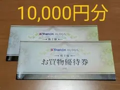 ヤマダ電機　株主様お買物優待券　10000円分　メルカリ便無料