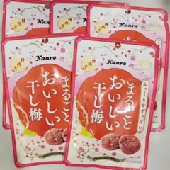 カンロ まるごとおいしい干し梅 5袋のサムネイル