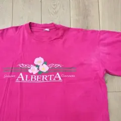 USヴィンテージTシャツ ALBERTA カナダ製 MADE IN CANADA