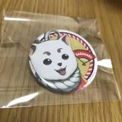 貴重　銀魂　晴祭り2016 定春　缶バッジ