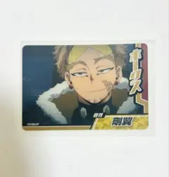 ヒロアカ ホークス コレクターズカード