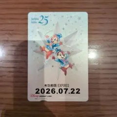リゾラフリー切符　25周年　チプデのサムネイル