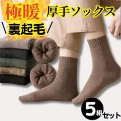 靴下 裏起毛 メンズ　極暖 厚手 ソックス保温　防寒 暖かい5足セット 男女兼用