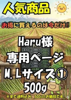 Haru様専用 M・Lサイズ 500g