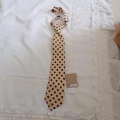 Item thumbnail for item 7d49bb2f-db19-4033-862f-b5ad4520254f