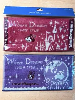 【新品】東京ディズニーリゾート ミニタオル 2枚セット