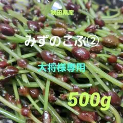 大将 秋田県産 みずのこぶ みずの実 500g 大将様専用 秋田県産 みずのこぶ みずの実 500g - メルカリ
