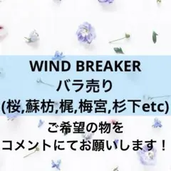 WIND BREAKER ウィンブレ 缶バッジ バラ売り まとめ売り