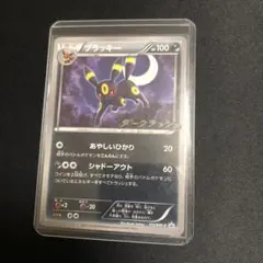 ブラッキー ar 海外限定イラスト ブラッキー AR 中国語(簡体字)版 海外限定イラスト【Card Chicken】