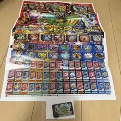 ポケモン　スペシャルフレンダピック　オーガポン　カタログつき