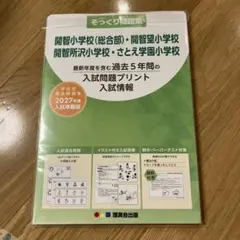 開智•開智所沢•開智望小学校2025年度_過去問題集&予想問題集＆合格対策問題集 開智高等学校 2025年度 【過去問5+2年分】(高校別入試過去問題シリーズ