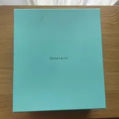 【TIFFANY&Co.】ティファニー 空箱　－3