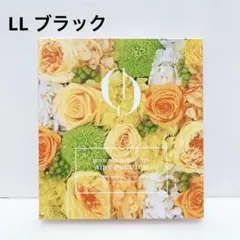 Item thumbnail for item 70413971-e92b-454e-9ba4-e34989c70e6e