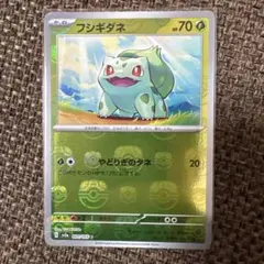 ゲリラ最安値特別出品 御三家フシギダネ.ヒトカゲ.ゼニガメ マスターボールミラー ゲリラ最安値特別出品 御三家フシギダネ.ヒトカゲ.ゼニガメ