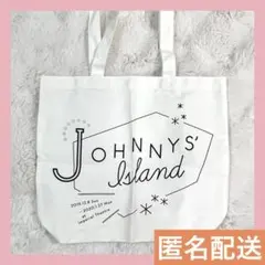 ✨美品✨Johnnys' Island 2019-2020 ジャニアイ キンプリ