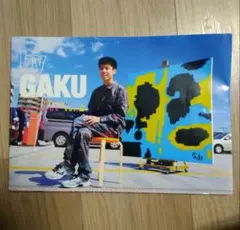 by GAKU ART BOOK Vol.2