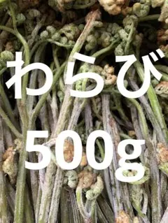 シャリファ様専用 秋田県産 かぎわらび 500g - メルカリ