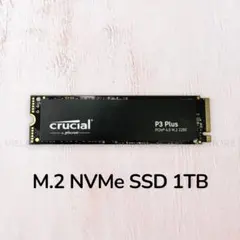 Plextor PX-2TM10PGN Gen4 内蔵SSD M.2 2TB - メルカリ