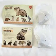 Item thumbnail for item b9d3c8b9-3f6e-4e55-90fe-d8941a54717d