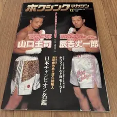 チラシ付き】畑山隆則 三つ折りピンナップ2種類 - メルカリ