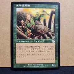 MTG 森を護る者 Sylvan Safekeeper 日本語 - メルカリ