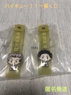 ハイキュー！！一番くじ　ぽこっとちゃーむ（木兎光太郎、赤葦京治）2点セット